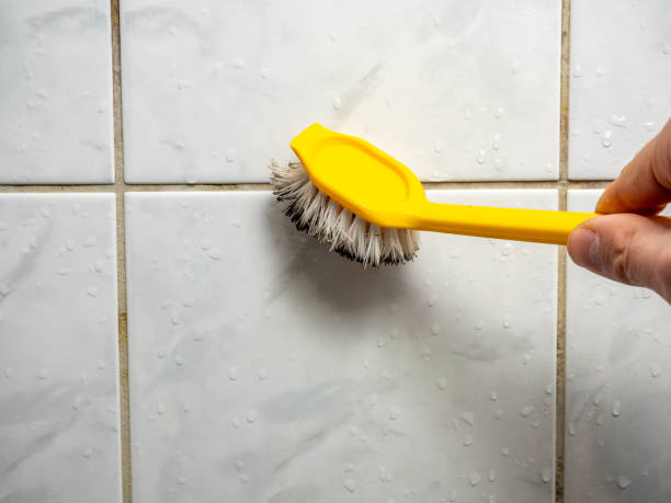 Professional Mold Remediation in Elsberry, MO