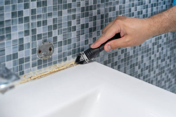 Best Residential Mold Remediation in Elsberry, MO